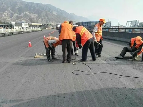 呼玛道路桥梁病害治理